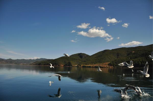 昆明急用钱私人借款 民间借贷 空放电话 应急借贷 24小时放款